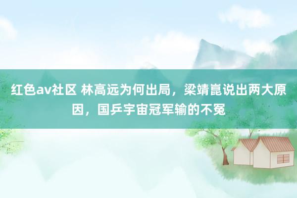 红色av社区 林高远为何出局，梁靖崑说出两大原因，国乒宇宙冠军输的不冤