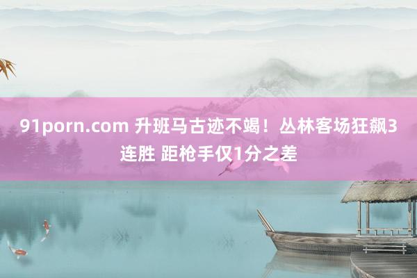 91porn.com 升班马古迹不竭！丛林客场狂飙3连胜 距枪手仅1分之差