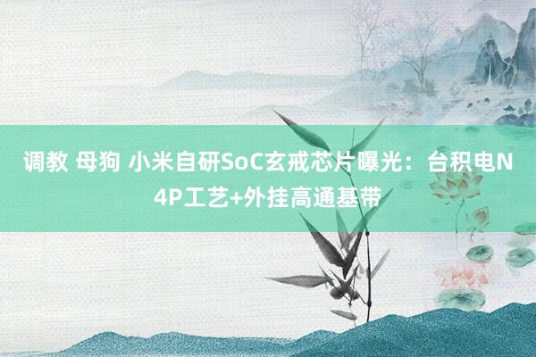 调教 母狗 小米自研SoC玄戒芯片曝光：台积电N4P工艺+外挂高通基带