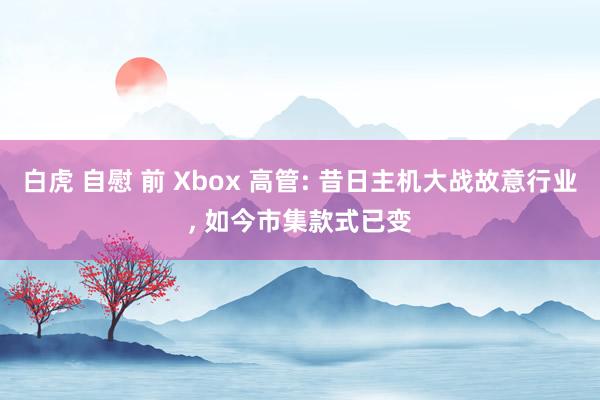 白虎 自慰 前 Xbox 高管: 昔日主机大战故意行业, 如今市集款式已变