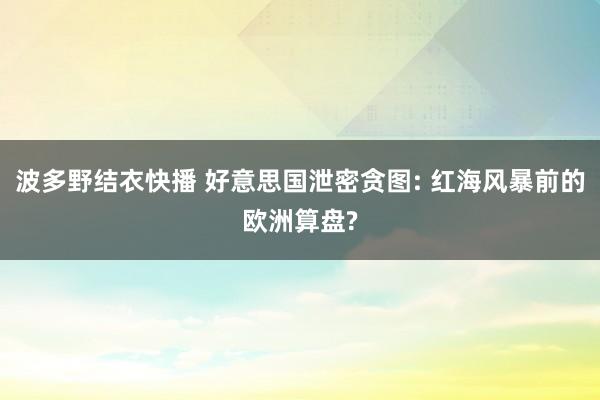 波多野结衣快播 好意思国泄密贪图: 红海风暴前的欧洲算盘?