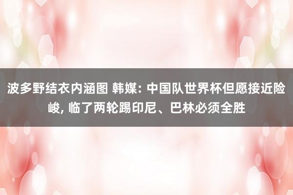 波多野结衣内涵图 韩媒: 中国队世界杯但愿接近险峻, 临了两轮踢印尼、巴林必须全胜
