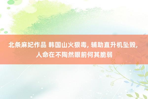 北条麻妃作品 韩国山火狠毒, 辅助直升机坠毁, 人命在不陶然眼前何其脆弱