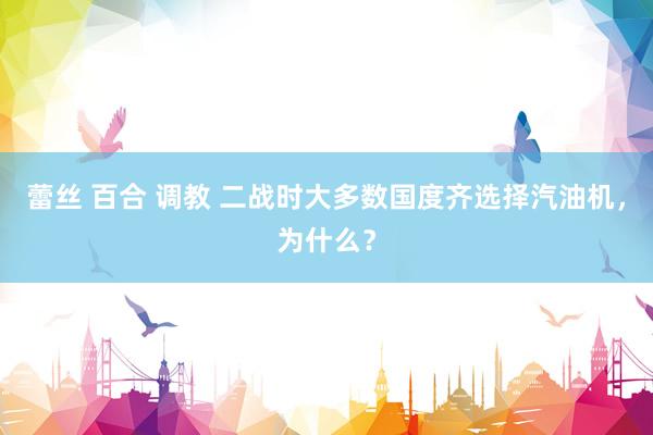 蕾丝 百合 调教 二战时大多数国度齐选择汽油机，为什么？