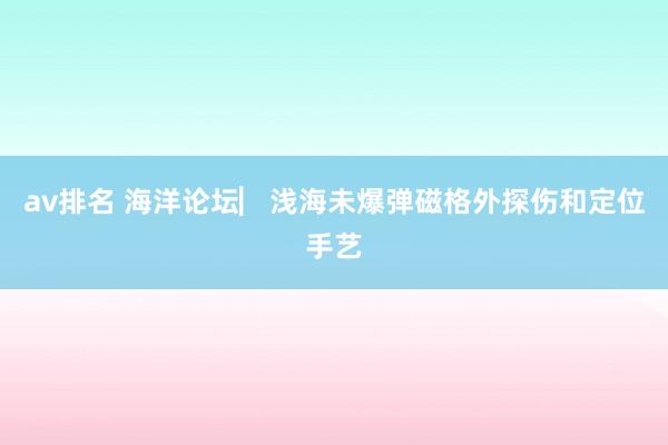 av排名 海洋论坛▏浅海未爆弹磁格外探伤和定位手艺