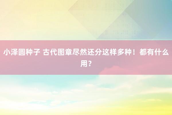 小泽圆种子 古代图章尽然还分这样多种！都有什么用？