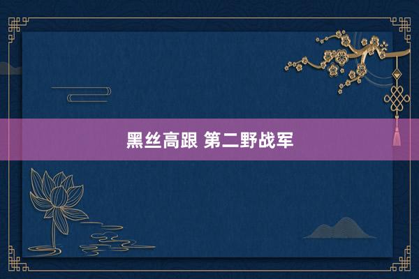 黑丝高跟 第二野战军