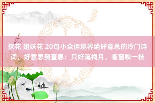 探花 姐妹花 20句小众但境界绝好意思的冷门诗词，好意思到窒息：只好疏梅月，临窗映一枝