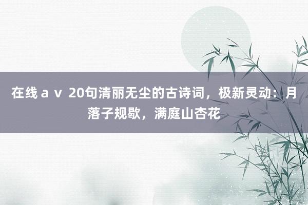 在线ａｖ 20句清丽无尘的古诗词，极新灵动：月落子规歇，满庭山杏花