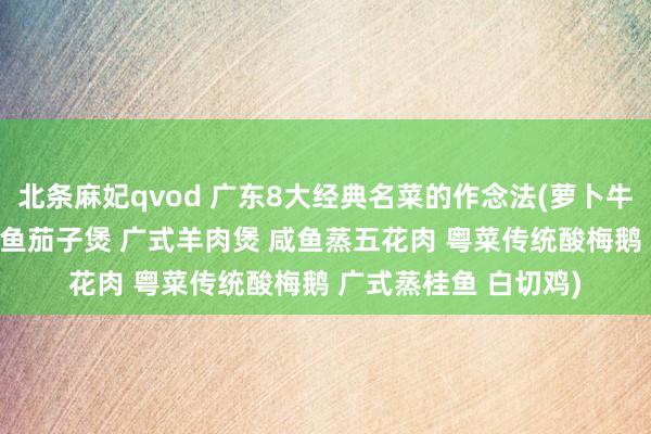 北条麻妃qvod 广东8大经典名菜的作念法(萝卜牛腩煲 紫苏焖水鸭 咸鱼茄子煲 广式羊肉煲 咸鱼蒸五花肉 粤菜传统酸梅鹅 广式蒸桂鱼 白切鸡)