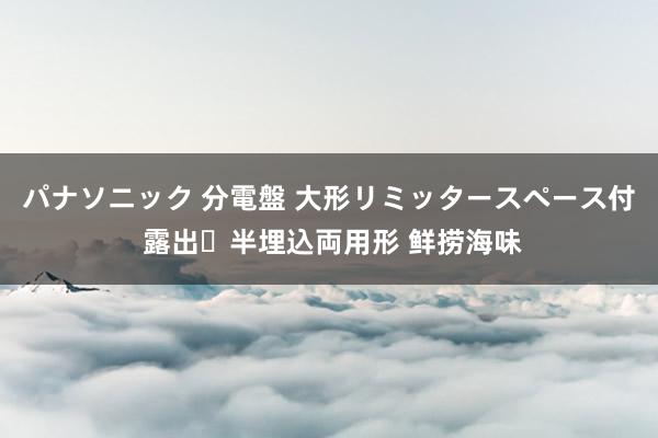パナソニック 分電盤 大形リミッタースペース付 露出・半埋込両用形 鲜捞海味