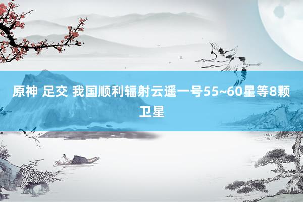 原神 足交 我国顺利辐射云遥一号55~60星等8颗卫星