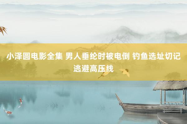 小泽圆电影全集 男人垂纶时被电倒 钓鱼选址切记逃避高压线