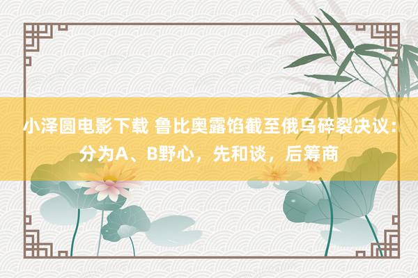 小泽圆电影下载 鲁比奥露馅截至俄乌碎裂决议：分为A、B野心，先和谈，后筹商