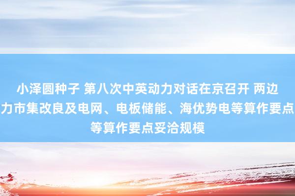 小泽圆种子 第八次中英动力对话在京召开 两边明确将电力市集改良及电网、电板储能、海优势电等算作要点妥洽规模